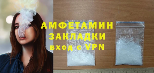 шишки Абаза