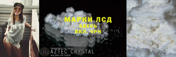 шишки Абаза