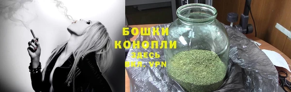 шишки Абаза