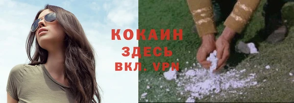 шишки Абаза