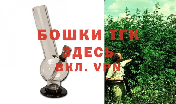 шишки Абаза