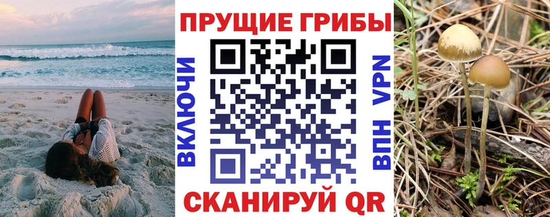 darknet формула  Вышний Волочёк  Псилоцибиновые грибы MAGIC MUSHROOMS 